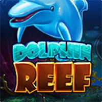 Dolphin Reef